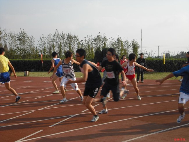 ctrl+鼠标滚轮缩放